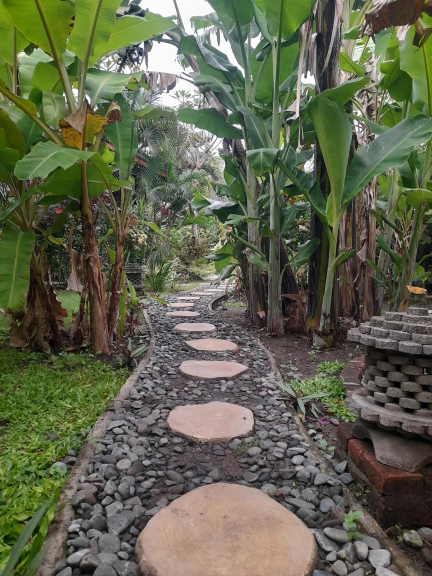 Yuda Menjangan Homestay Banyuwedang Buitenkant foto
