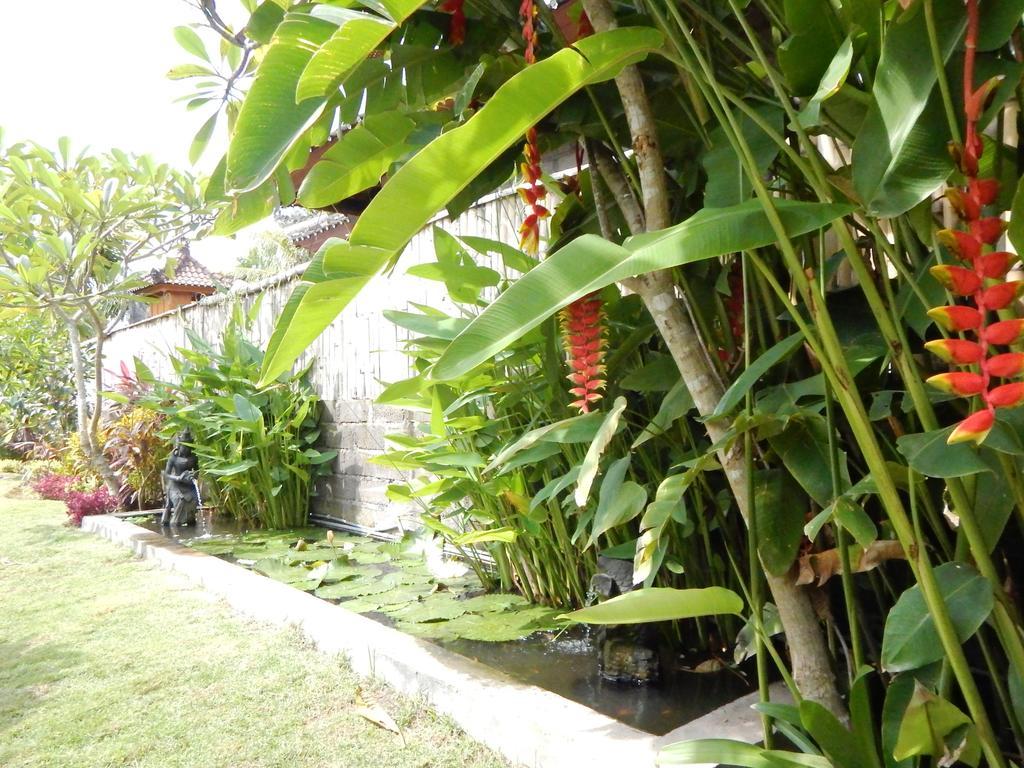Yuda Menjangan Homestay Banyuwedang Buitenkant foto